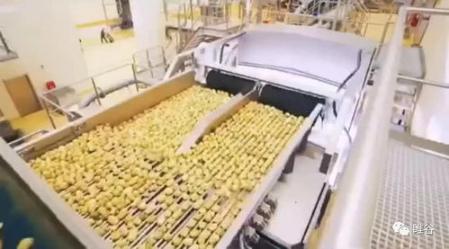 佳盛企智深加工共享工廠 創新農產品生產模式，助力蔬菜產業升級